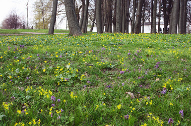 Similar image 1193916