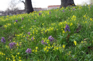 Similar image 1193917