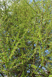 Similar image 1193918