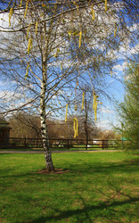 Similar image 1193919