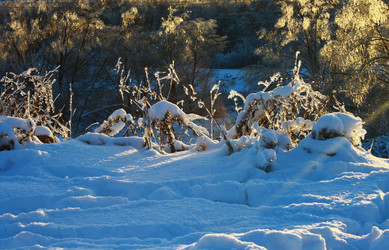 Similar image 1193920