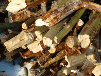 Similar image 1193922