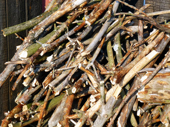 Similar image 1193923