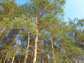 Similar image 1193924