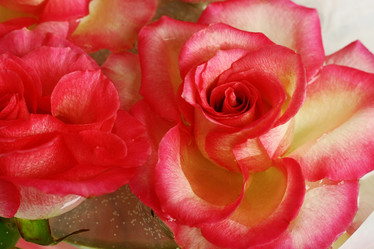 Similar image 1193925