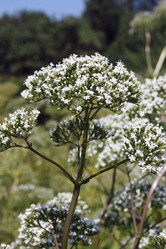 Similar image 1193927