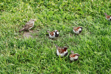 Similar image 1193928