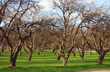 Similar image 1193930