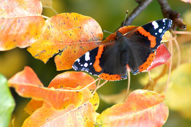 Similar image 1193946