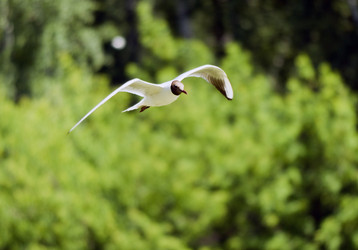 Similar image 1193973