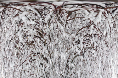 Similar image 1193975