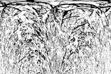 Similar image 1193977