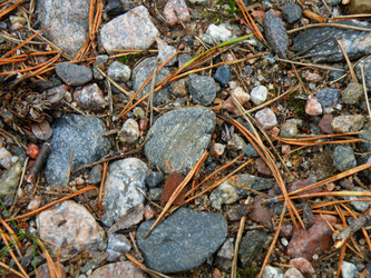 Similar image 1193993