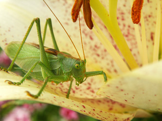 Similar image 1193994