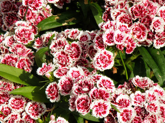 Similar image 1193997