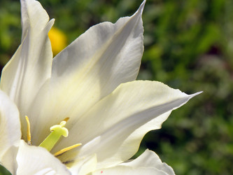 Similar image 1193998