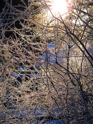 Similar image 1194000