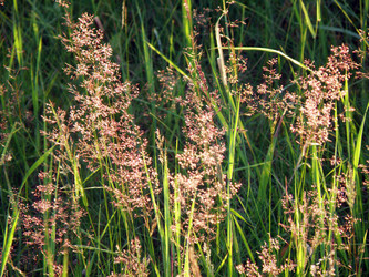 Similar image 1194001