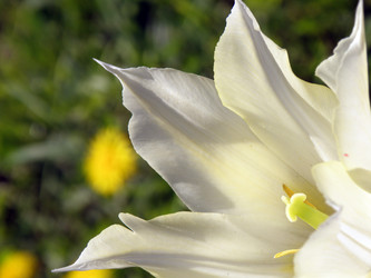 Similar image 1194002