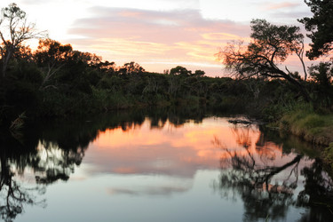 Similar image 1194003