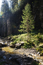 Similar image 1194032