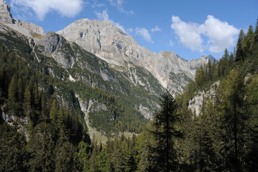 Similar image 1194037