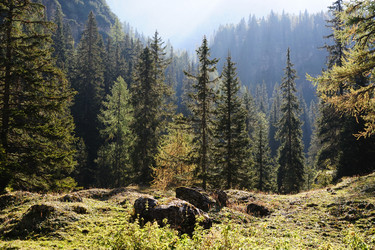 Similar image 1194046