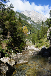 Similar image 1194049