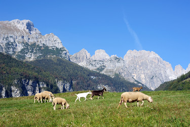 Similar image 1194050