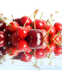 Similar image 1194077