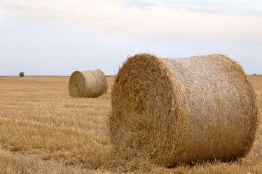 Similar image 1194124