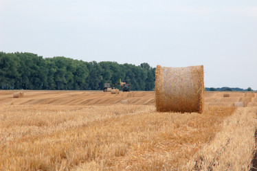 Similar image 1194125