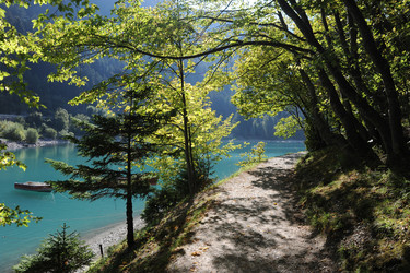 Similar image 1194168