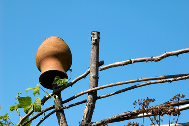 Similar image 1194196