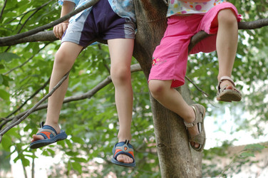 Similar image 1194198