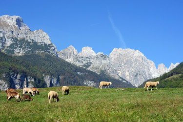 Similar image 1194204