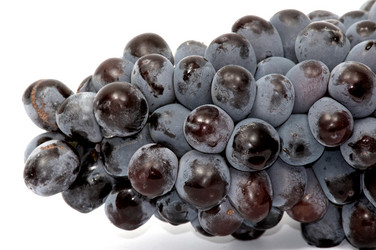 Similar image 1194205