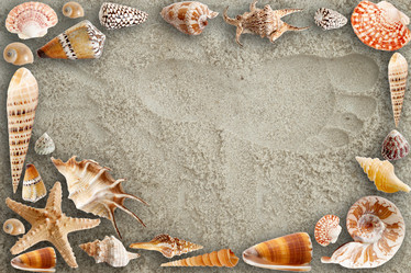 Similar image 1194345