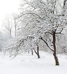 Similar image 1194353