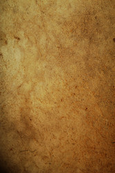 Similar image 1194371