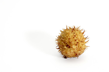 Similar image 1194382