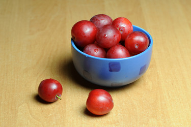 Similar image 1194402