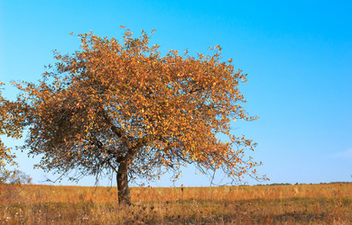 Similar image 1194405