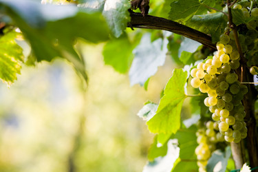 Similar image 1194411