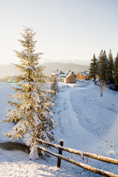 Similar image 1194419