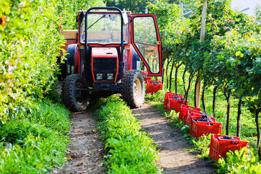 Similar image 1194422