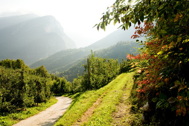 Similar image 1194424