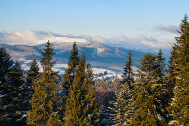 Similar image 1194457