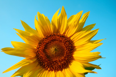 Similar image 1194475