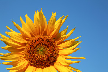 Similar image 1194478